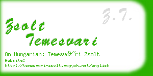 zsolt temesvari business card